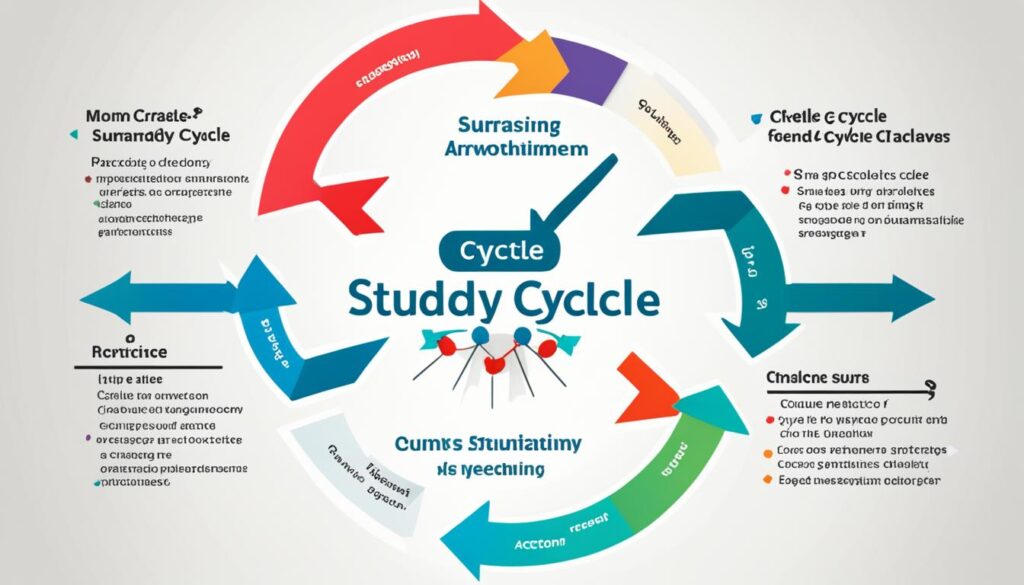 study cycle