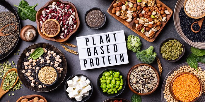 Plant-based Protein