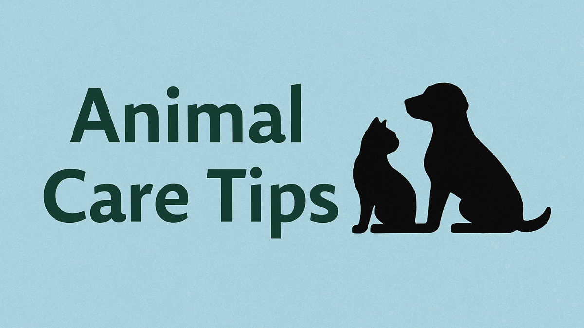 Animal Care Tips